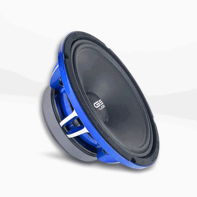 GS Audio Voce 10" Limited edition