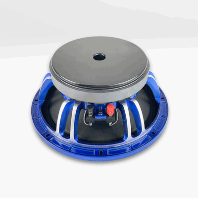 GS Audio Voce 10" Limited edition