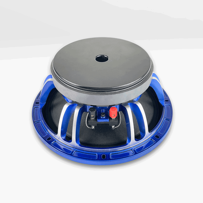 GS Audio Voce 10" Limited edition