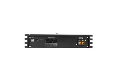 Awave DSP10D MAX
