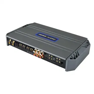 Reiss RS-AE1000.4D