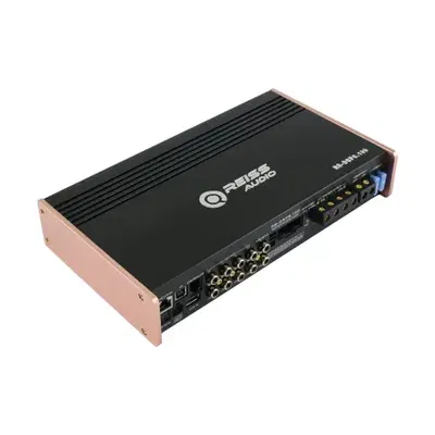 Reiss RS-DSP6.100