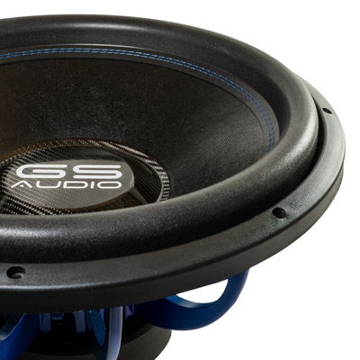 Gs Audio Platinum 10"