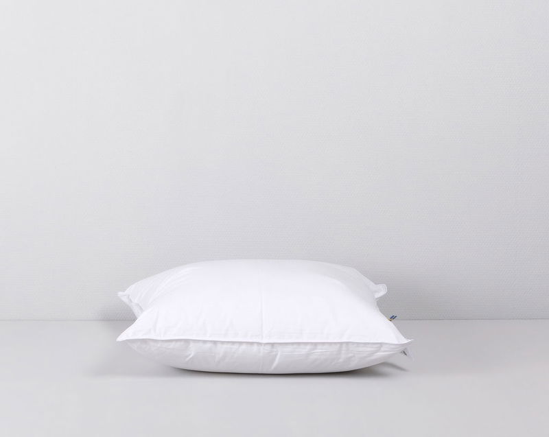 Anemon Allergivänlig Kudde 50x60 Värnamo of Sweden tenant-sync-5UpKUKEPinTq52G1743581959