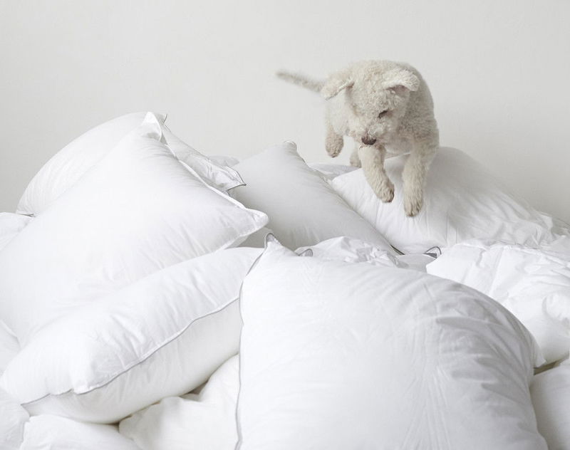 tenant-sync-lXjgD8I1JxaIQi91726656845