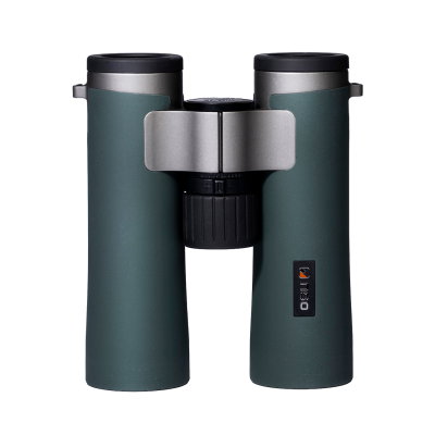 NSO Viken 10x40 ED