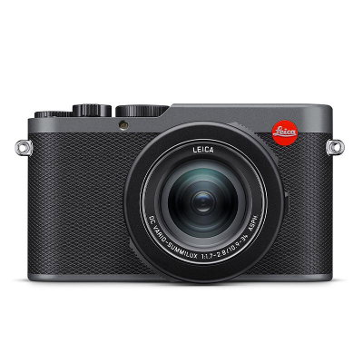 Leica D-lux 8 Metal Gray (19213)