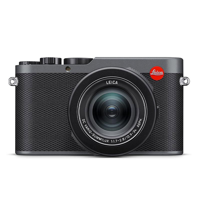 Leica D-lux 8 Metal Gray (19213)