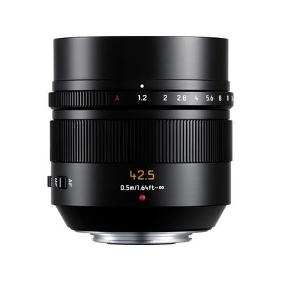 Panasonic Lumix 42,5/1,2 Leica DG Nocticron