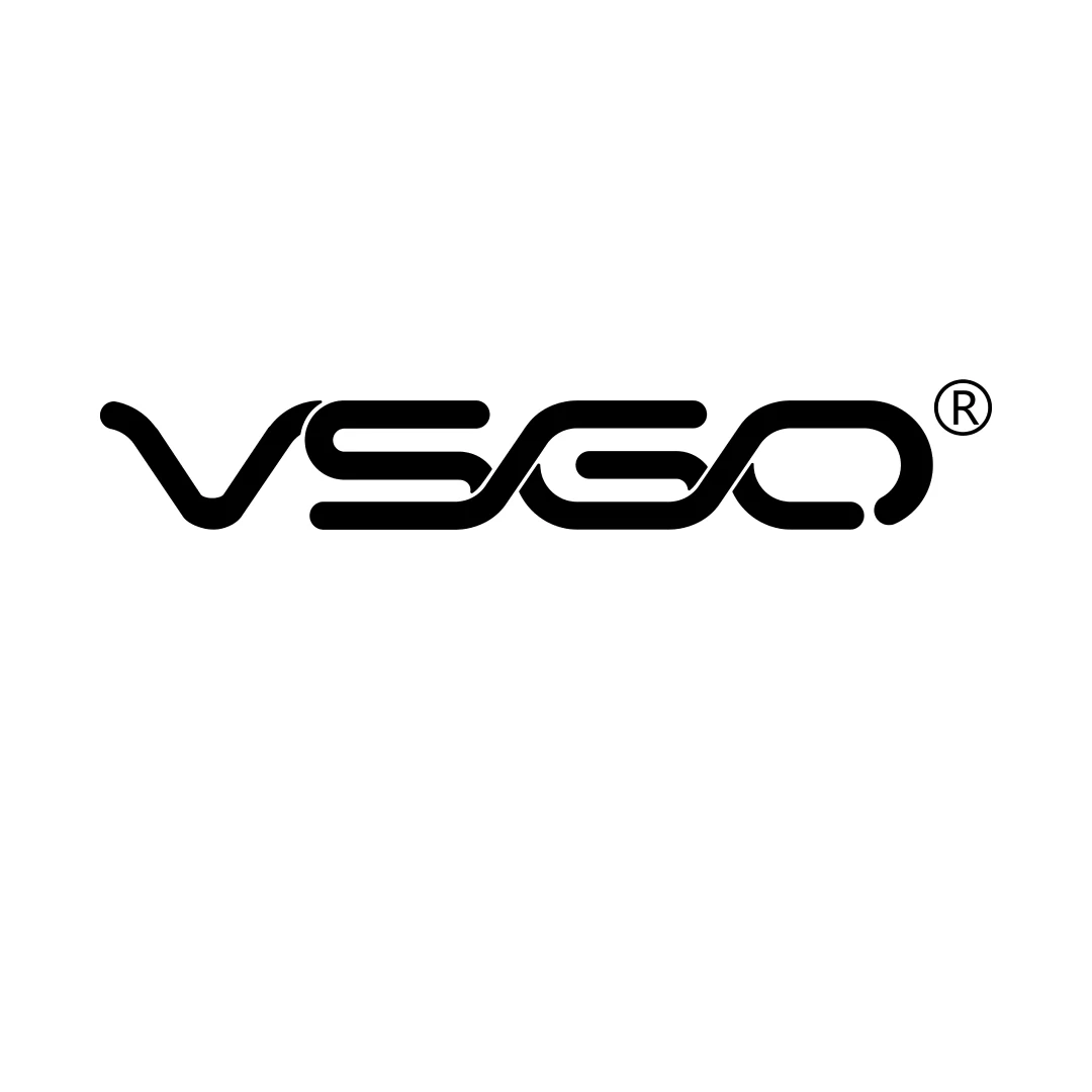 VSGO