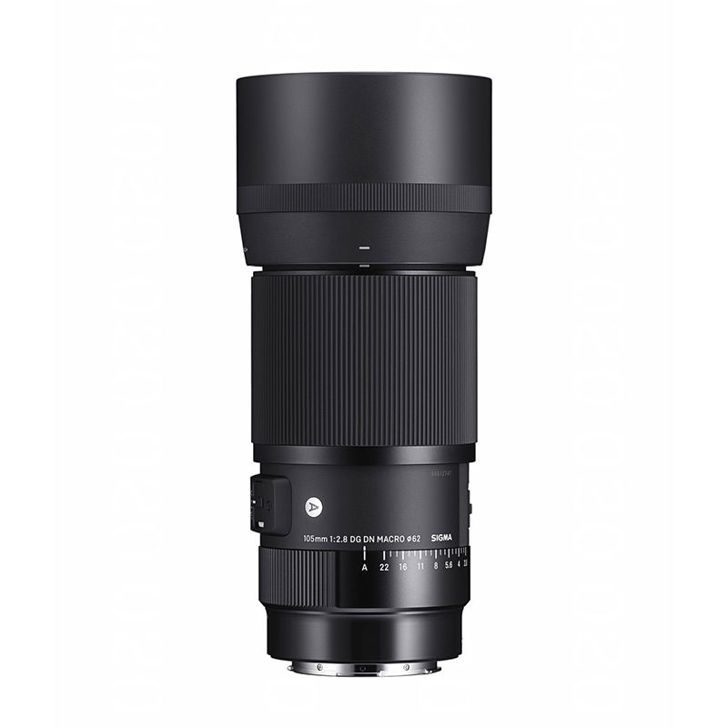 Sigma 105/2,8 Macro L-mount