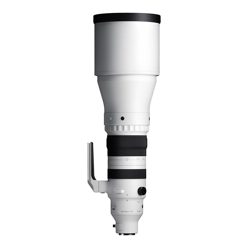 Sigma 300-600/4,0 Sport L-Mount