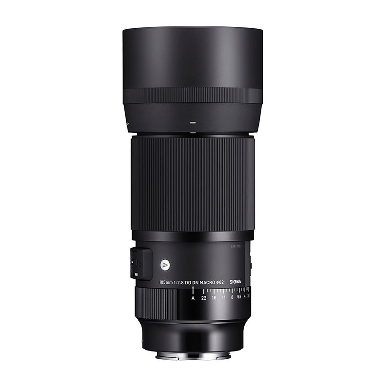 Sigma 105/2,8 Macro Sony E