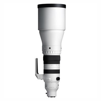 Sigma 300-600/4,0 Sport Sony E-Mount