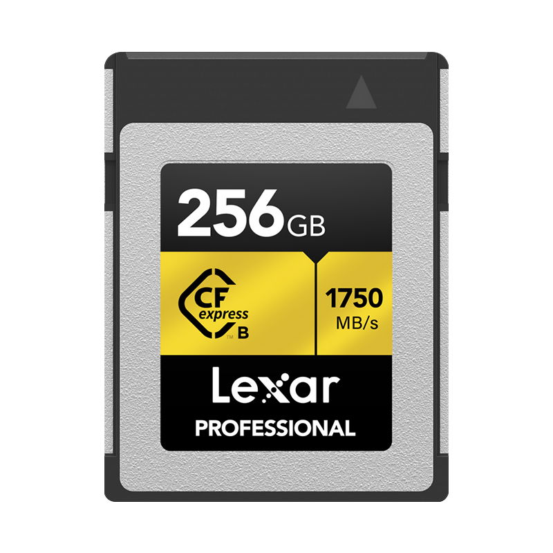 Lexar CFexpress Typ B Pro Gold R1750/W1500 256GB