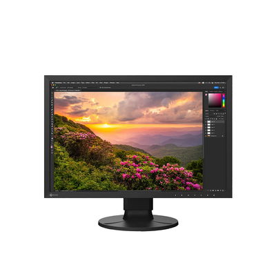 EIZO Monitor ColorEdge CS2400S 24" Svart