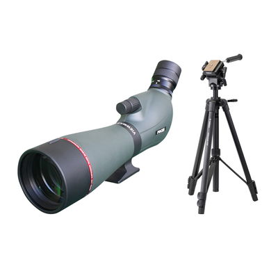 Focus Viewmaster 20-60x80 + Velbon VIdeomate 638