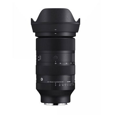Sigma 28-105/2.8 DG DN Art L-mount