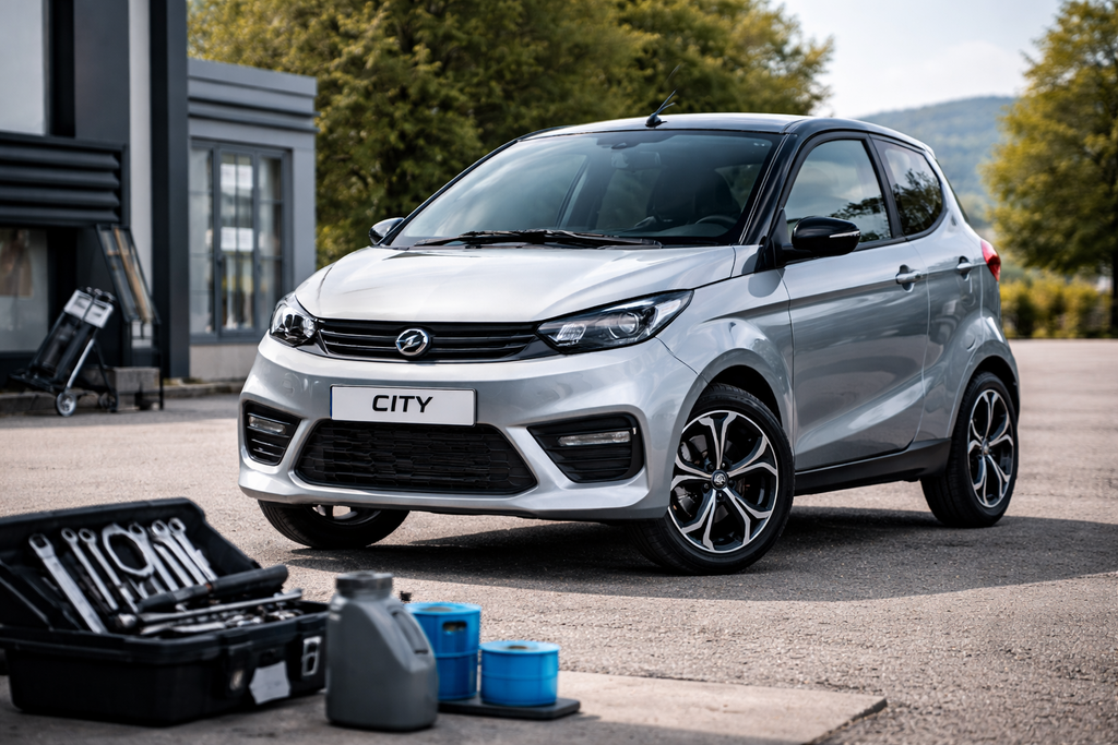 Aixam serviceintervall – serviceskjema for Kubota Z402 og Z482