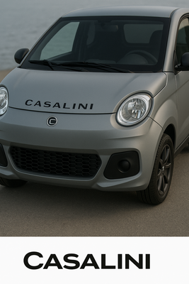 Service reset Casalini M14 / M20 - slik slukker du servicelyset