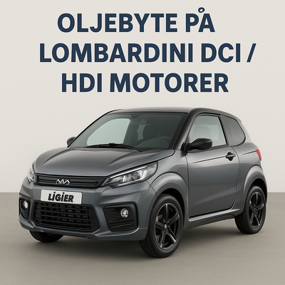 Oljeservice på din Ligier / Microcar / Chatenet / Grecav med Lombardini DCI / HDI motor.