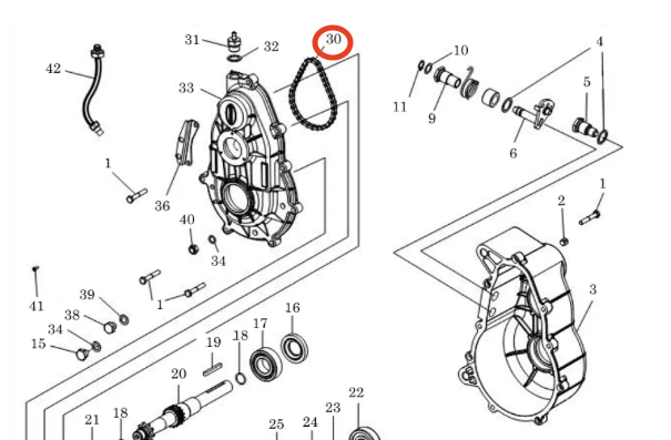 Kjede til girkasse for Ligier, Microcar, JDM - 1010808