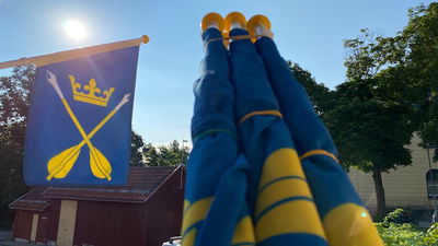 Fasadflagga - Dalarnas landskapsvapen Dalpilarna