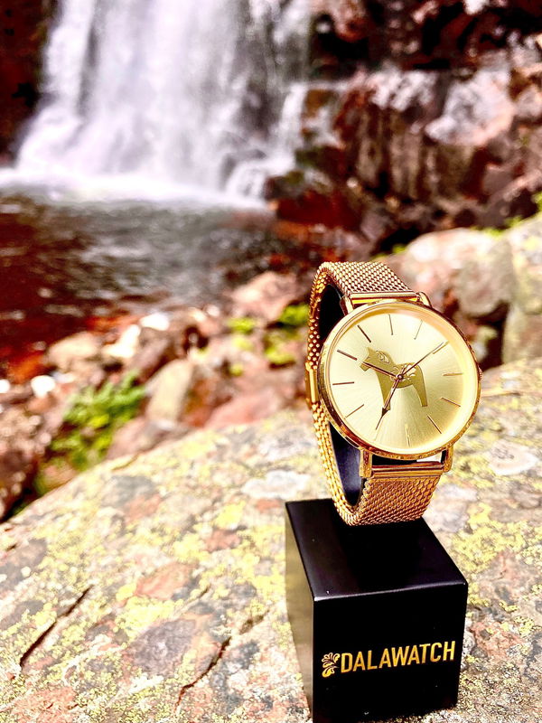Dalawatch - Gold Edition with Mesh brace