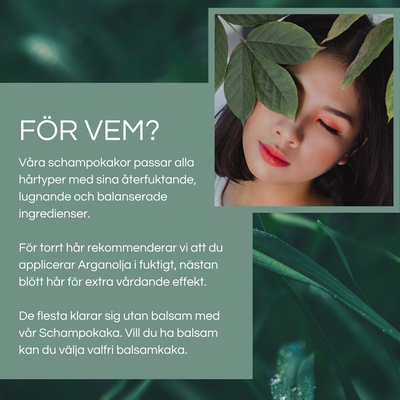 Schampokakor 70 gram - 4 olika sorter