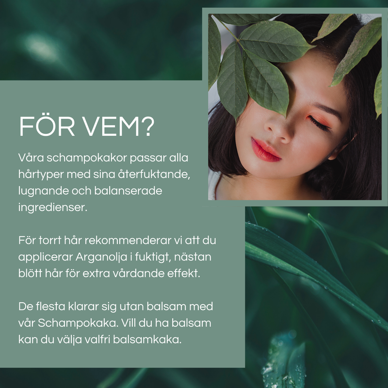 Schampokakor 70 gram - 4 olika sorter