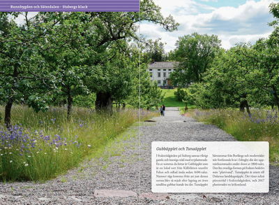 Vandra kring Falun & Borlänge