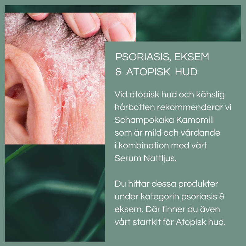 Schampokakor 70 gram - 4 olika sorter