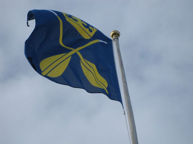 Flagga - Dalarnas landskapsvapen Dalpilarna