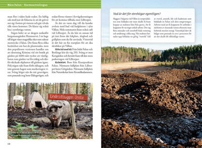 Vandra kring Falun & Borlänge