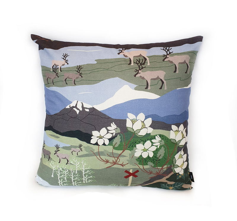 Kuddfodral - Fjällvandring