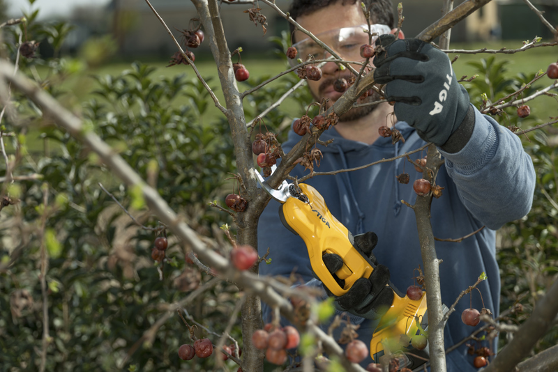 Stiga batteridriven  sekatör SC 100e Kit