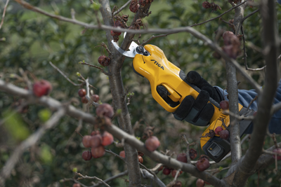 Stiga batteridriven  sekatör SC 100e Kit