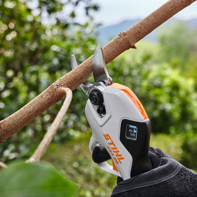 STIHL ASA 20 batteridriven sekatör – komplett set med AS 2-batteri och AL 1-laddare