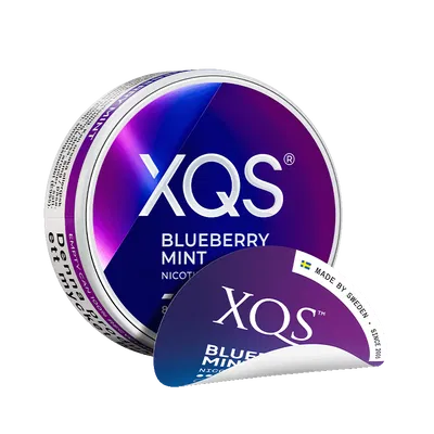XQS Blueberry Mint 8 MG