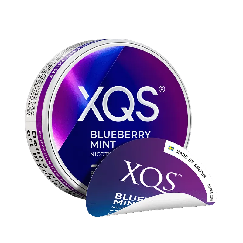 XQS Blueberry Mint 8 MG