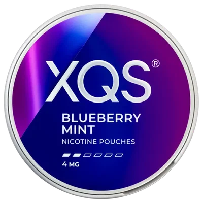 XQS Blueberry Mint Slim 4 MG fram