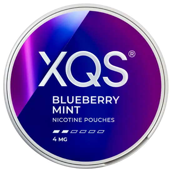 XQS Blueberry Mint Slim 4 MG