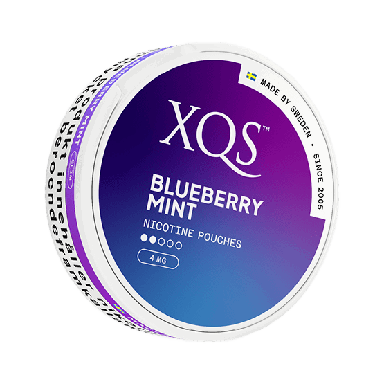 XQS Blueberry Mint