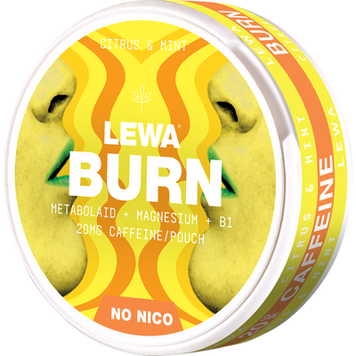 LEWA Citrus & Mint Nikotinfritt