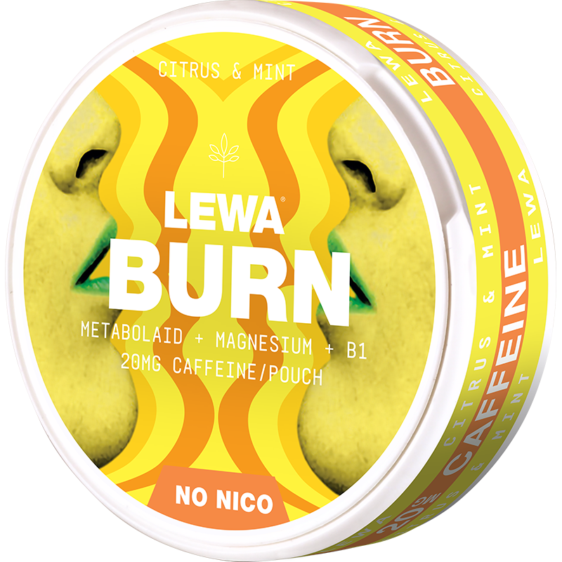 LEWA Citrus & Mint Nikotinfritt