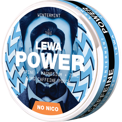 LEWA Wintermint Nikotinfritt