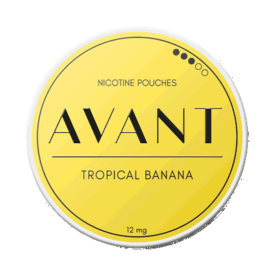 Avant Tropical Banana fram