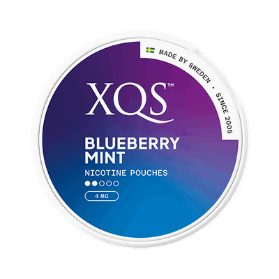 XGS Blueberry Mint fram