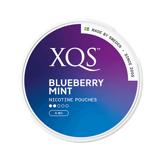 XQS Blueberry Mint