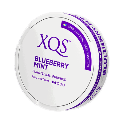 XQS Blueberry Mint Zero